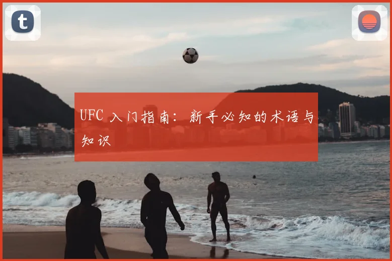 UFC 入门指南：新手必知的术语与知识