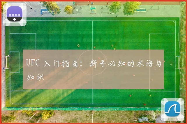 UFC 入门指南:新手必知的术语与知识