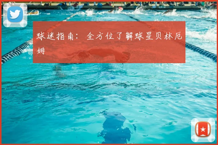 球迷指南:全方位了解球星贝林厄姆
